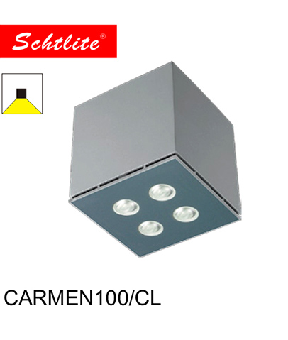 CARMEN Outdoor Waterproof Led Light High Brightness Garden and Park Wall Mounted Lamp